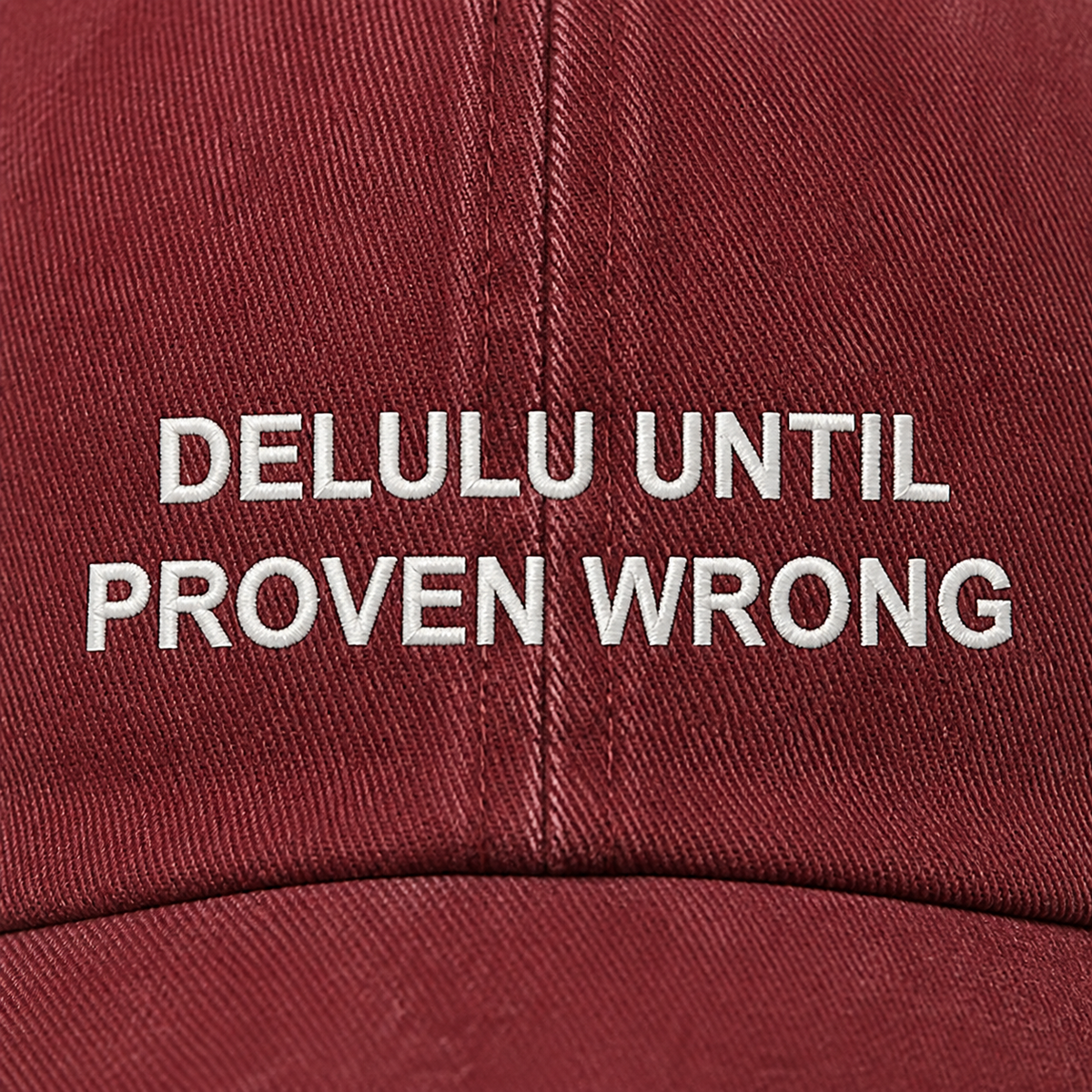 Delulu Until Proven Wrong soft white embroidery detail